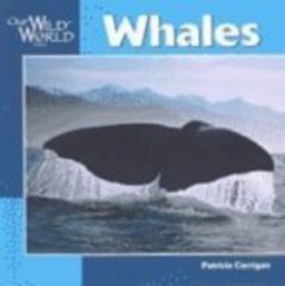 Whales