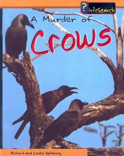 A Murder of Crows