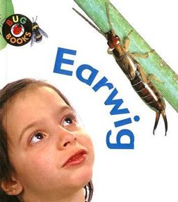Earwig Earwig