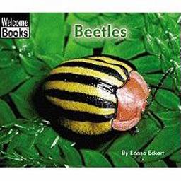 Beetles