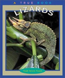 Lizards