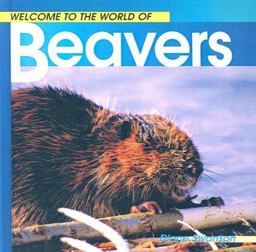 Welcome to the World of Beavers