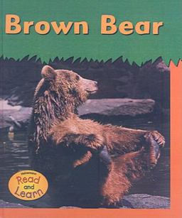Brown Bear