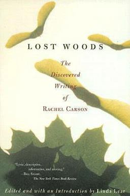 Lost Woods