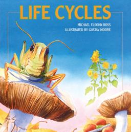 Life Cycles