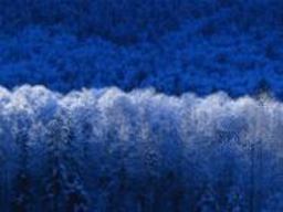 Proceedings of the First Annual Symposium on Emerging Issues in National and International Security