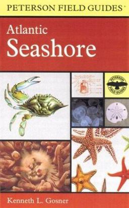 Field Guide to the Atlantic Seashore From the Bay of Fundy to Cape Hatteras  9780618002092 Front Cover