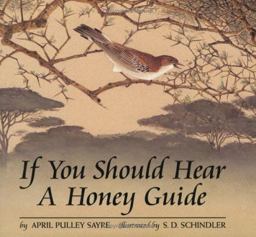 If You Should Hear a Honey Guide