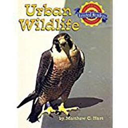 Houghton Mifflin Reading Leveled Readers