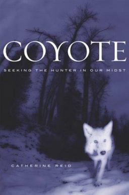 Coyote