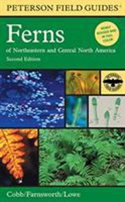 Peterson Field Guide to Ferns, Second Edition Northeastern and Central North America 2nd 9780618394067 Front Cover