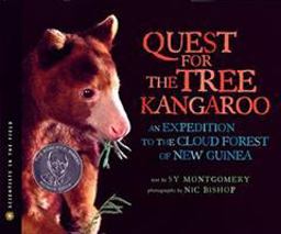 Quest for the Tree Kangaroo