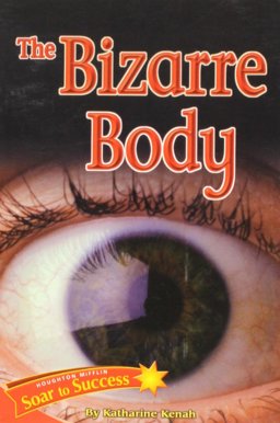 Houghton Mifflin Reading Intervention