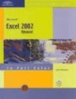 Microsoft Excel 2002
