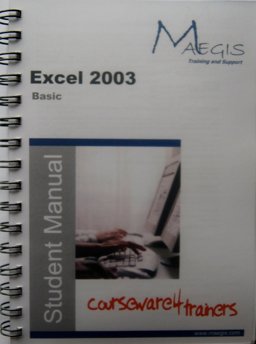 *Sm Disk Excel 03 Bsc