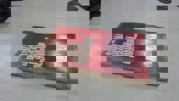 Social Rules and Social Behaviour