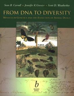From DNA to Diversity
