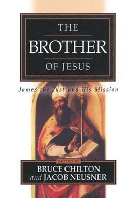 Brother of Jesus James the Just and His Mission  9780664222994 Front Cover