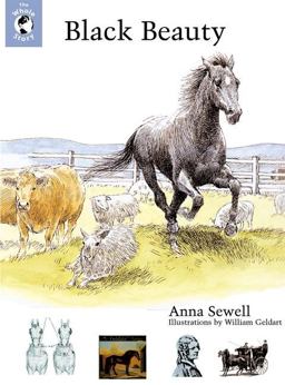Black Beauty