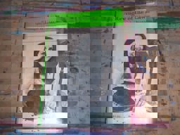 Revenge of the Lawn Revenge of the Lawn