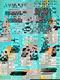 Listening to America