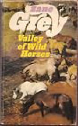 The Valley of Wild Horses