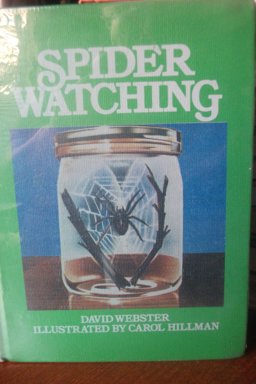 Spider Watching