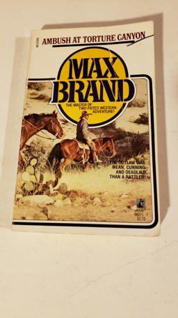 Ambush at Torture Canyon