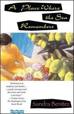 Place Where the Sea Remembers  9780671892678 Front Cover