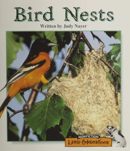 Bird Nests
