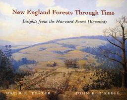 New England Forests Through Time Insights from the Harvard Forest Dioramas  9780674003446 Front Cover