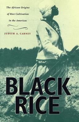 Black Rice The African Origins of Rice Cultivation in the Americas  9780674008342 Front Cover