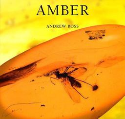 Amber