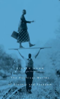 Political Worlds of Slavery and Freedom  9780674032965 Front Cover