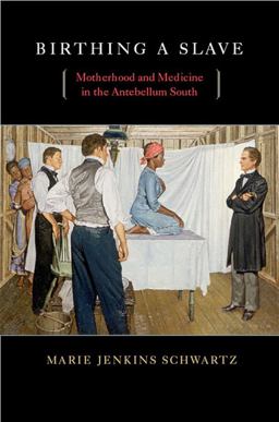 Birthing a Slave Motherhood and Medicine in the Antebellum South  9780674034921 Front Cover