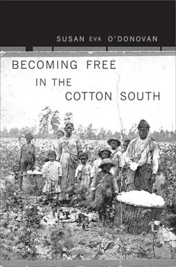 Becoming Free in the Cotton South  9780674045651 Front Cover