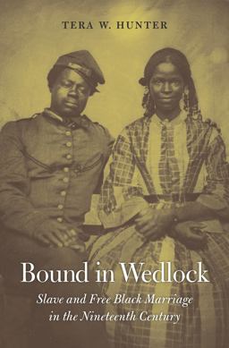 Bound in Wedlock: Slave and Free Black Marriage in the Nineteenth Century  9780674045712 Front Cover