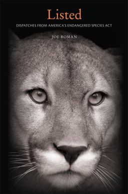 Listed Dispatches from America's Endangered Species Act  9780674047518 Front Cover