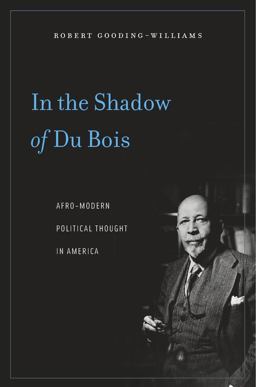 In the Shadow of du Bois Afro-Modern Political Thought in America  9780674060241 Front Cover