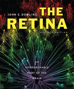Retina An Approachable Part of the Brain, Revised Edition 2nd 9780674061545 Front Cover