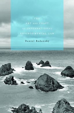 Art and Craft of International Environmental Law  9780674061798 Front Cover