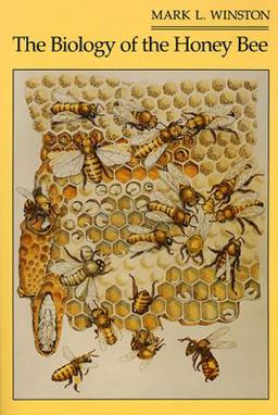 Biology of the Honey Bee  9780674074095 Front Cover