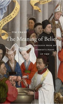 Meaning of Belief Religion from an Atheist's Point of View  9780674088832 Front Cover