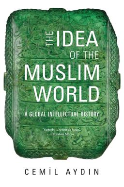 Idea of the Muslim World A Global Intellectual History  9780674238176 Front Cover