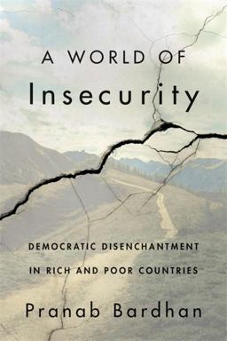 A World of Insecurity: Democratic Disenchantment in Rich and Poor Countries  9780674259843 Front Cover
