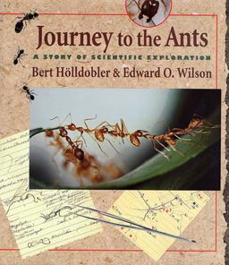 Journey to the Ants A Story of Scientific Exploration  9780674485266 Front Cover