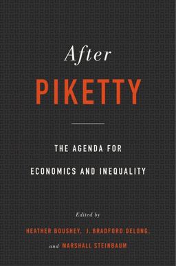 After Piketty: The Agenda for Economics and Inequality  9780674504776 Front Cover