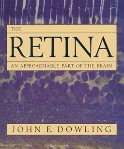 Retina An Approachable Part of the Brain  9780674766808 Front Cover