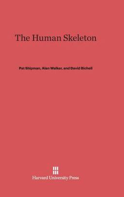 The Human Skeleton