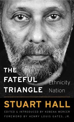 Fateful Triangle Race, Ethnicity, Nation  9780674976528 Front Cover